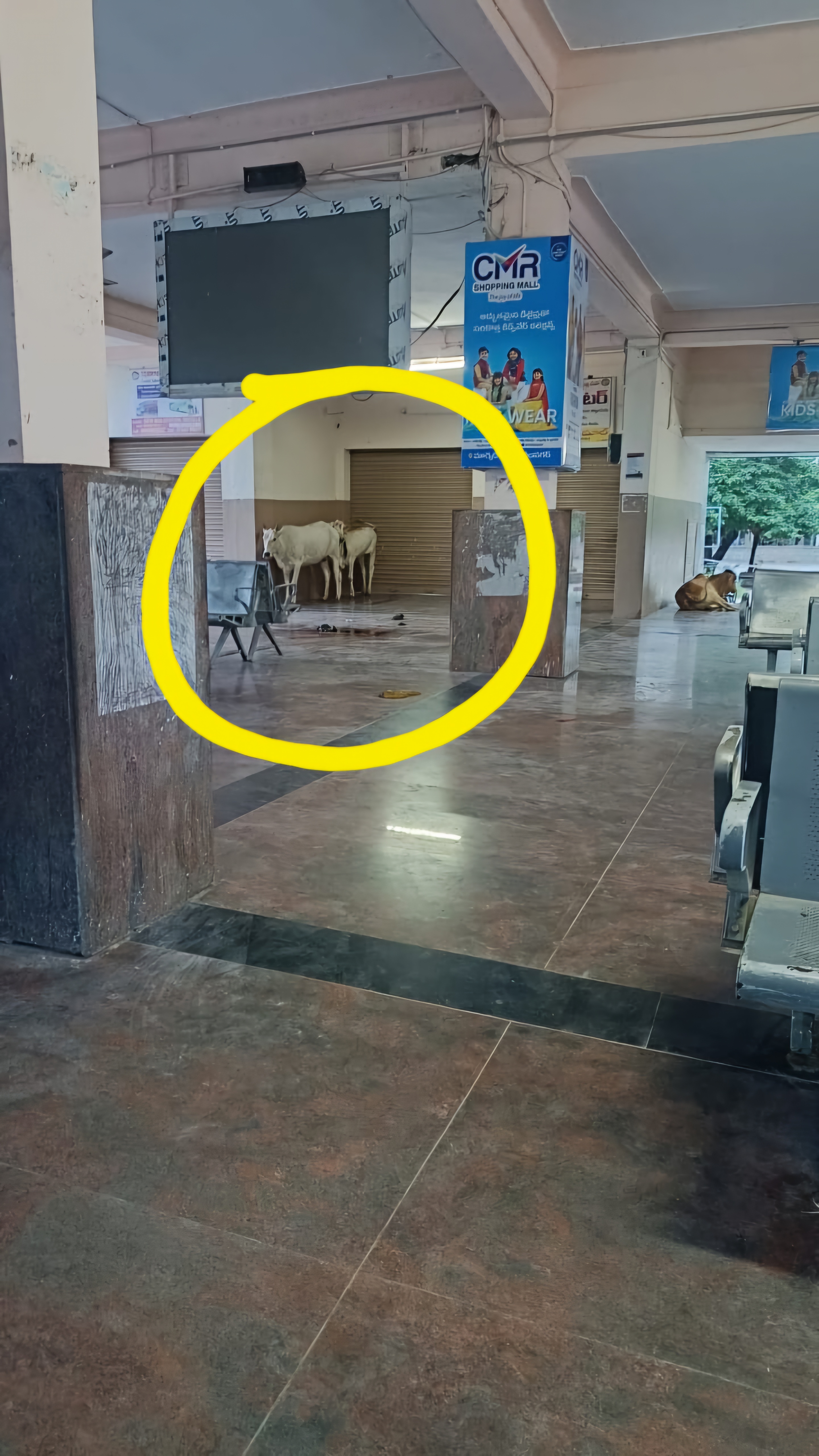 ప్రజాధారణ లేక…. పశువులకు “పాక’గా…?