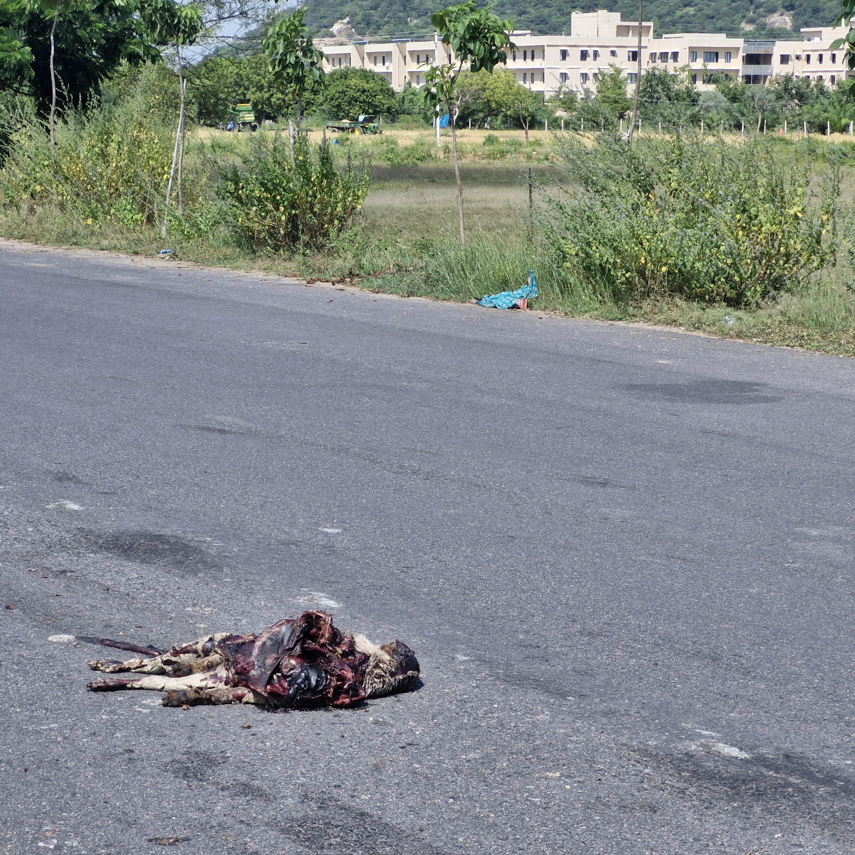 ఇదండి..సిరిసిల్ల మునిసిపల్ పారిశుధ్యం…?