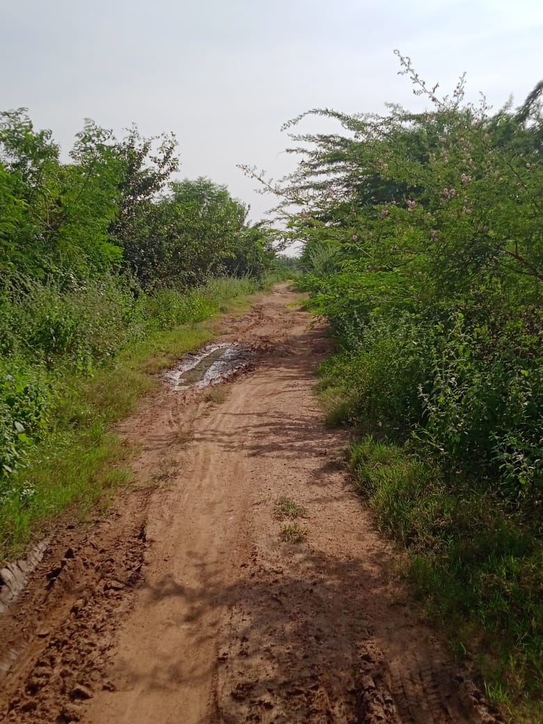 ప్రజావాణిలో  ఇచ్చిన…పట్టించుకుంటలేరు…?