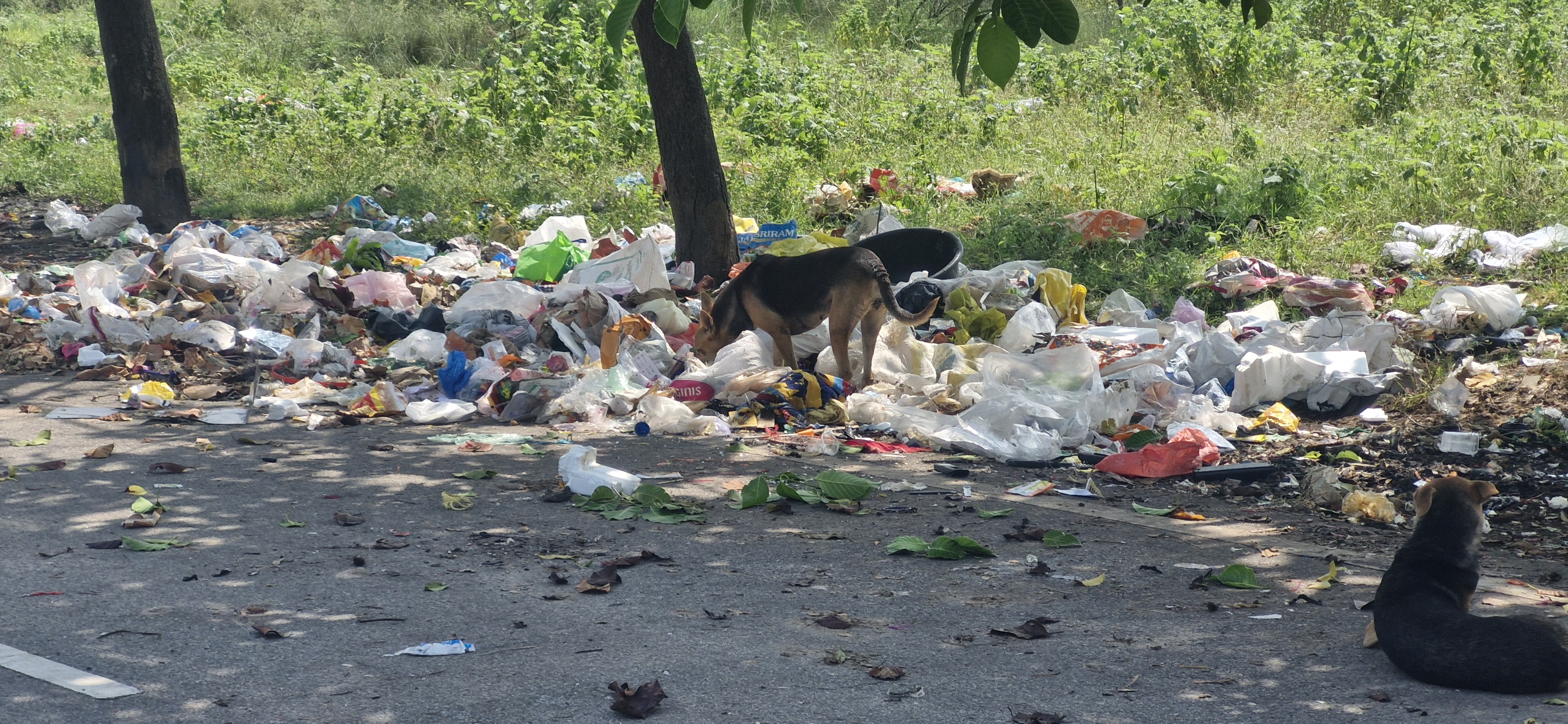 కంపుకొడుతున్న ‘కేసీఆర్ నగర్”